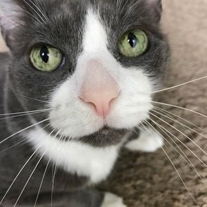 Meet your Posher, Heather